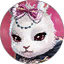 Rabbit Lori